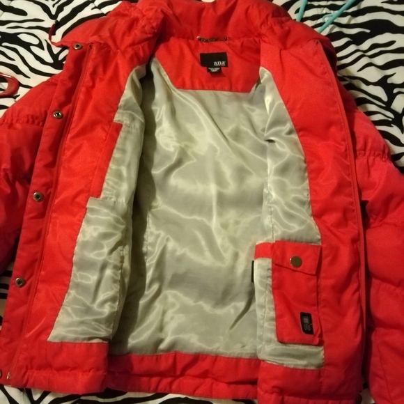 Jacket - Picture 4 of 5